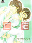 b3cc0101-eef1-49ec-aebc-8d235b489acd.png.512